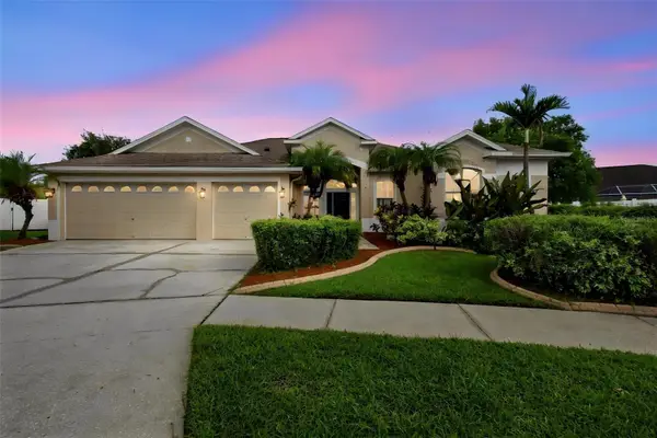 9905 Branford Court, RIVERVIEW, FL 33578