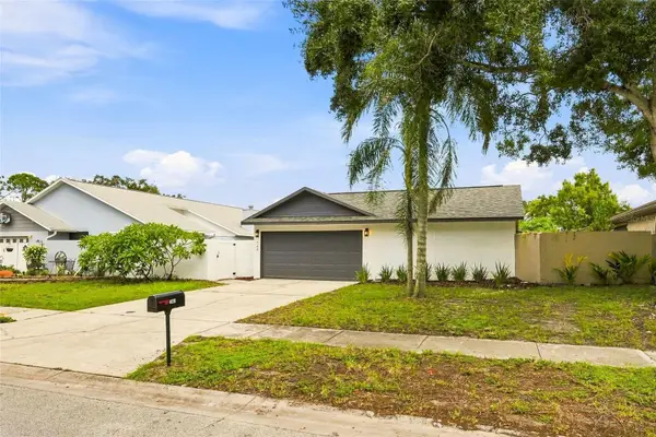 743 Bonnie Boulevard, PALM HARBOR, FL 34684
