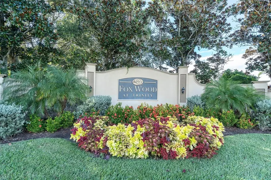 1913 Tilden Place, Trinity, FL 34655 - #2