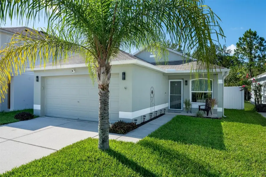 30516 Birdhouse Drive, Wesley Chapel, FL 33545 - #2