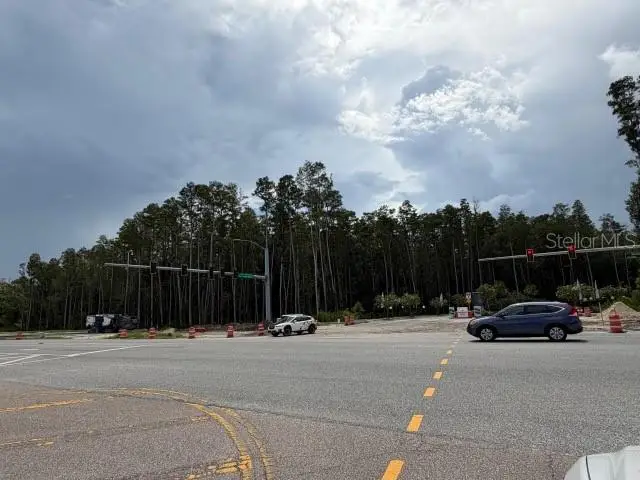 Wesley Chapel Blvd, Lutz, FL 33559 - #2