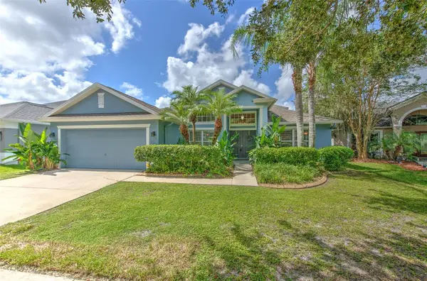 5847 Heronrise Crescent Drive, LITHIA, FL 33547
