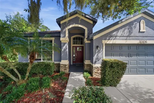 10106 Caraway Spice Avenue, RIVERVIEW, FL 33578