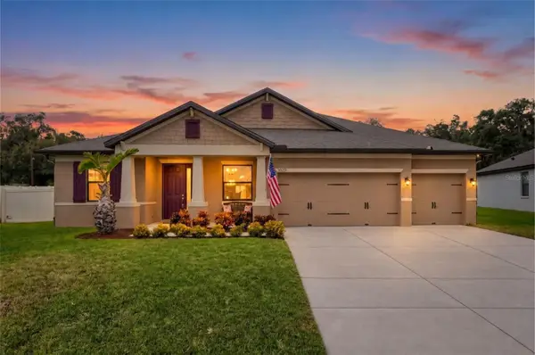 11020 Brahman Ranch Circle, RIVERVIEW, FL 33578