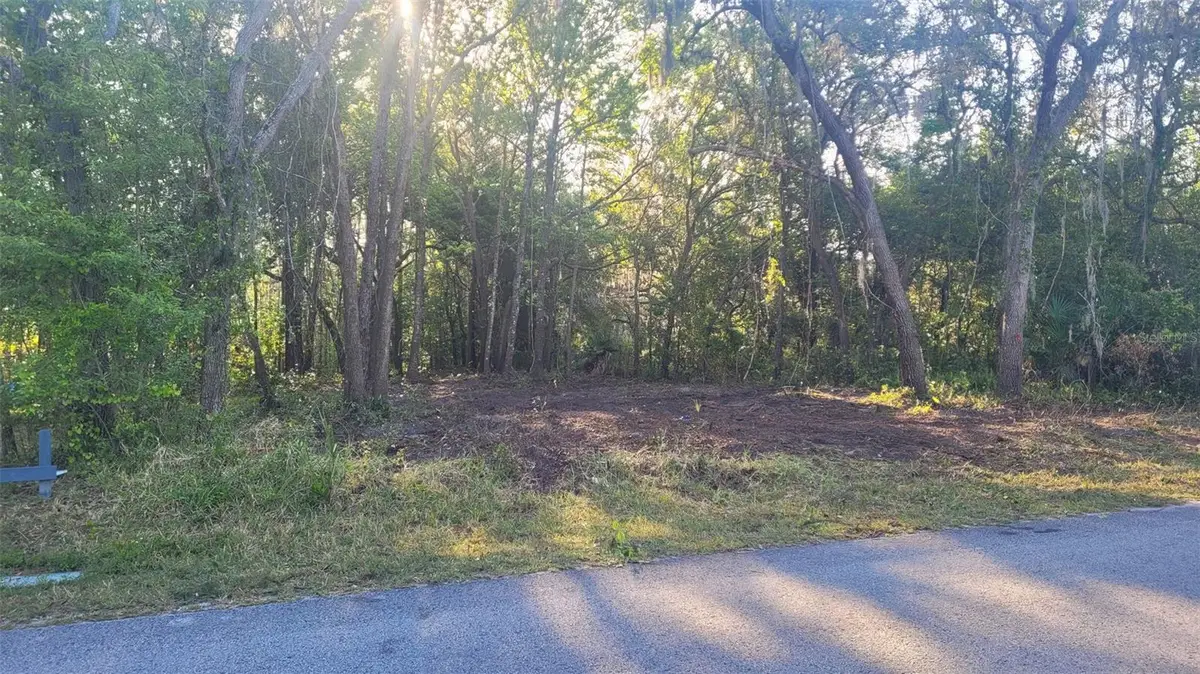 Marley Avenue, New Port Richey, FL 34654 - #1