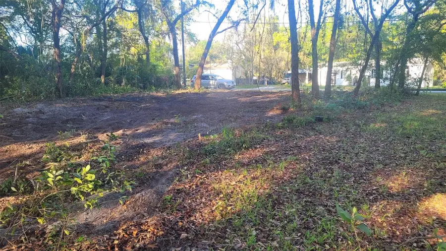 Marley Avenue, New Port Richey, FL 34654 - #2