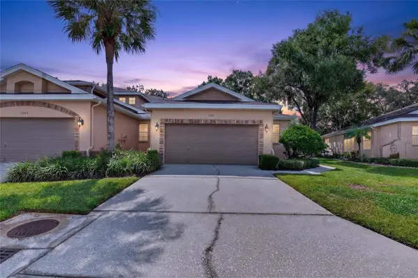 2201 Preservation Drive, PLANT CITY, FL 33566