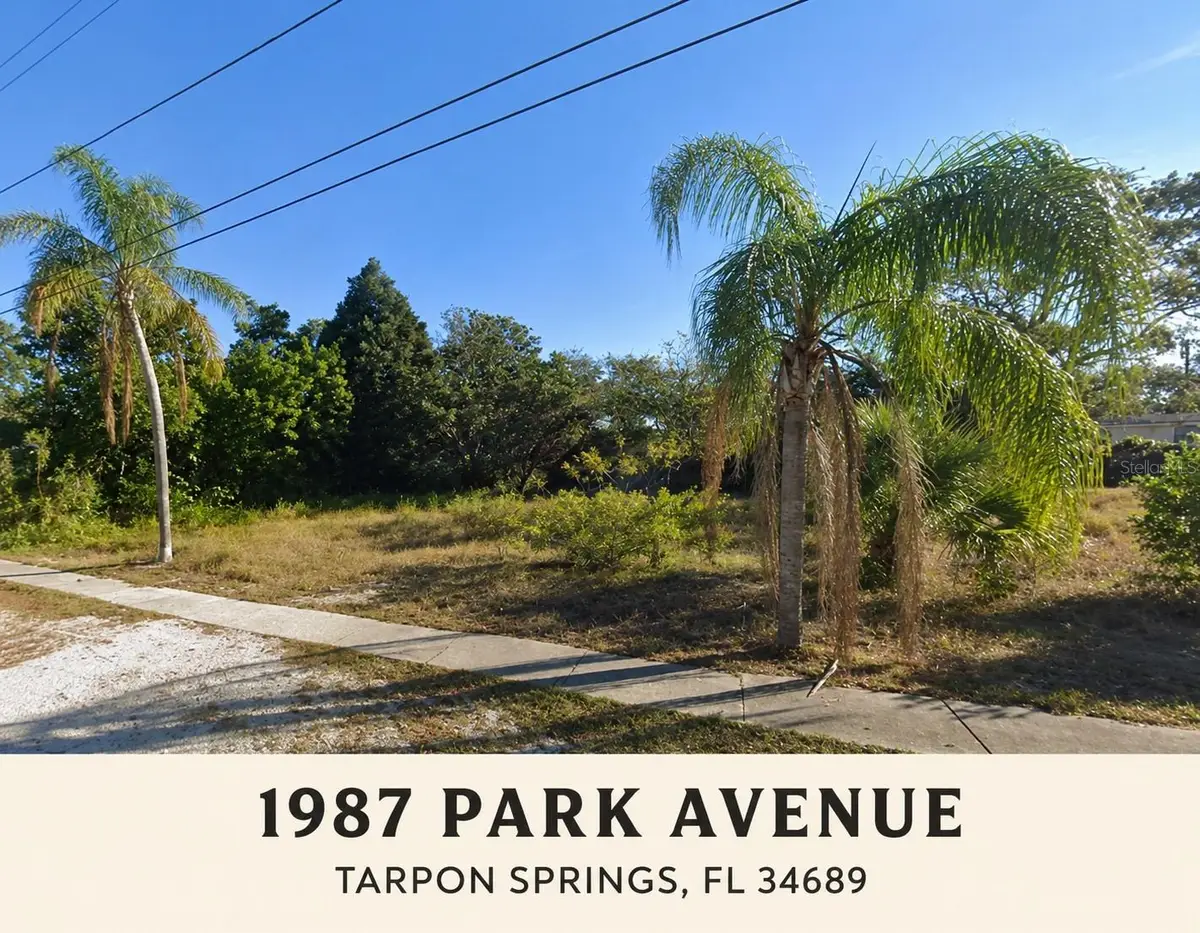 1987 Park Avenue, Tarpon Springs, FL 34689 - #1