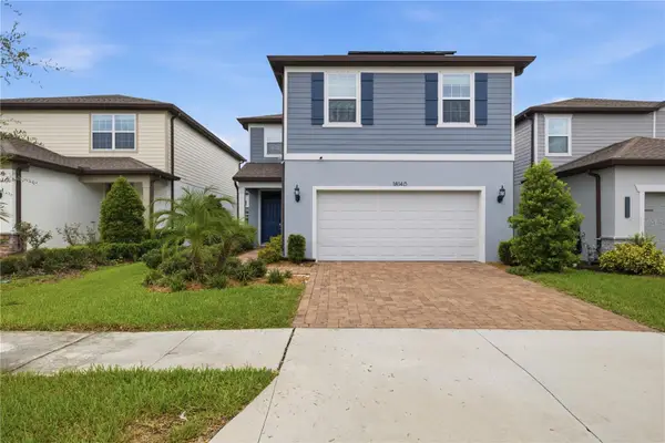 18140 Ramble On Way, LAND O LAKES, FL 34638