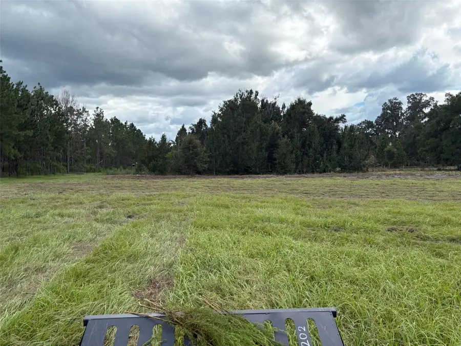 Pump Station Rd, Land O Lakes, FL 34639 - #3