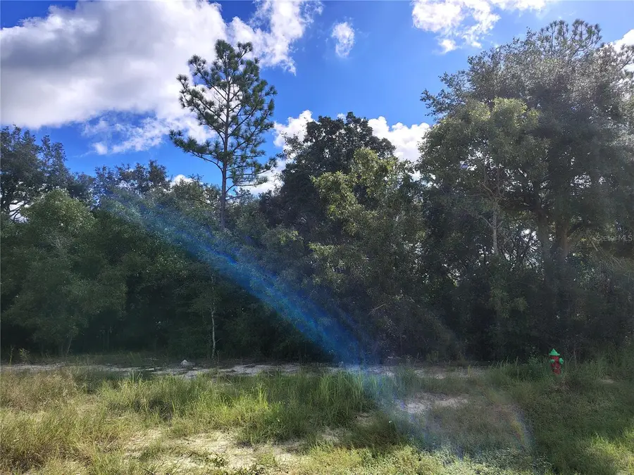 Silver Springs Shores Unit16, Ocala, FL 34472 - #2