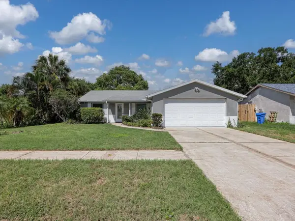 6002 Firefly Ln, APOLLO BEACH, FL 33572