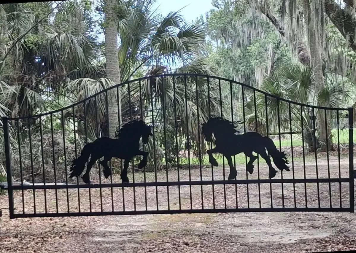 6800 NW Highway 320, Micanopy, FL 32667 - #1