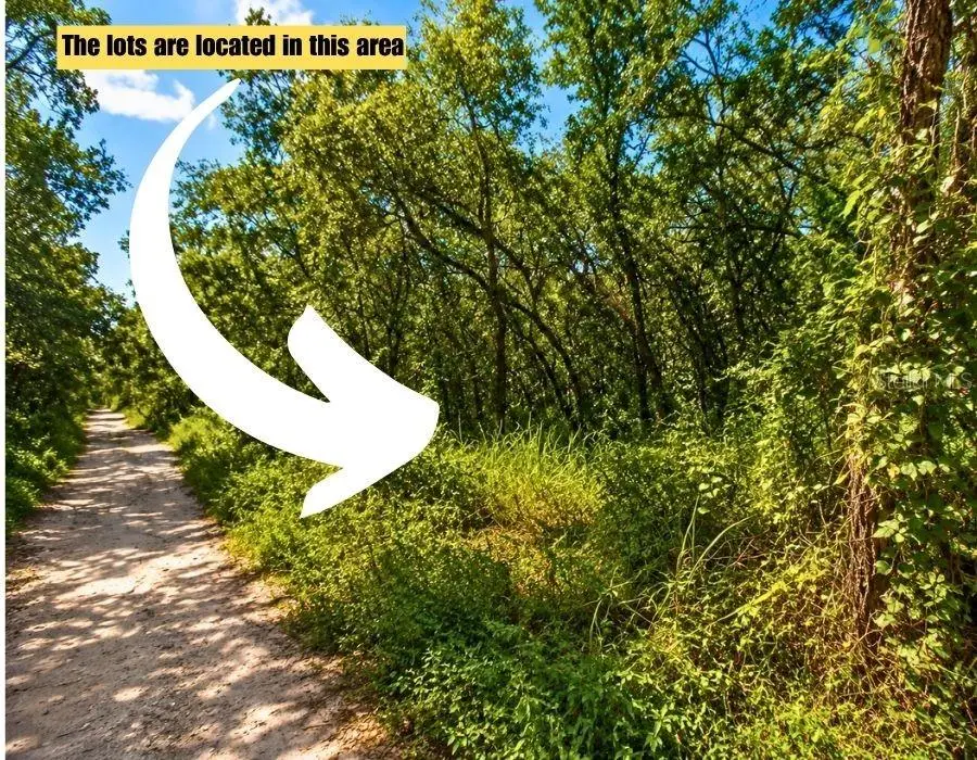 Poco Loop, New Port Richey, FL 34654 - #2