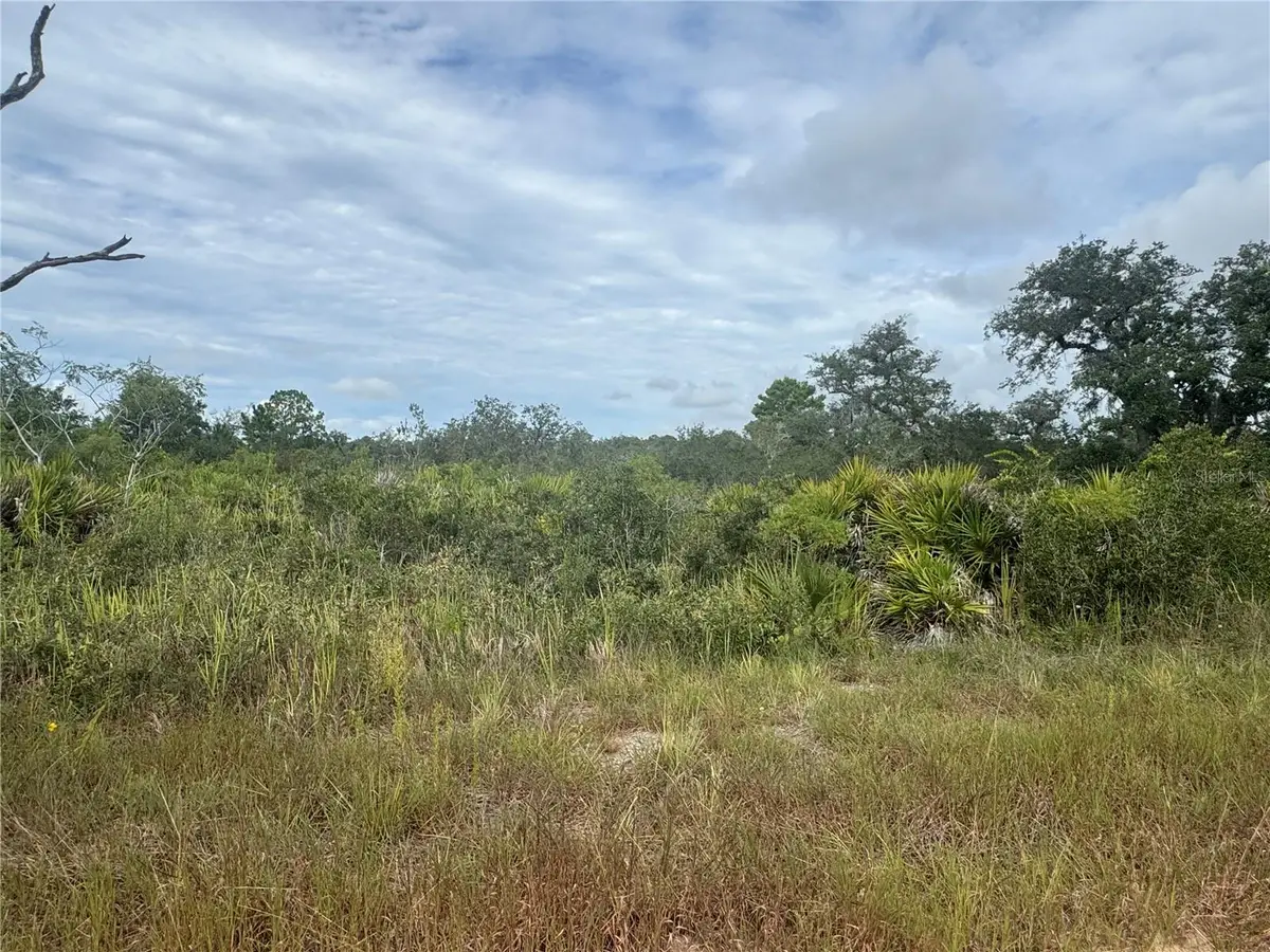 3022 W Petaluma Road, Avon Park, FL 33825 - #1