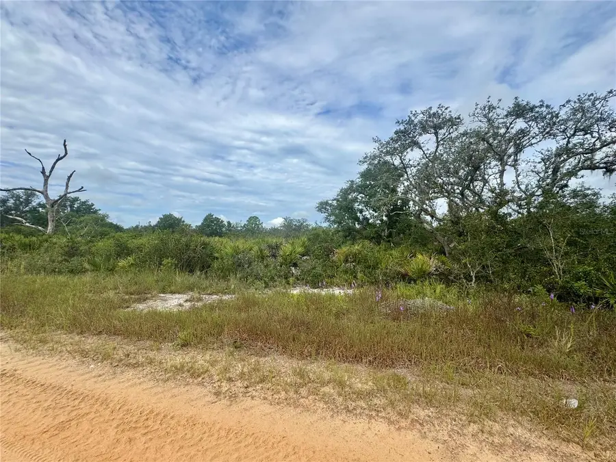 3022 W Petaluma Road, Avon Park, FL 33825 - #2