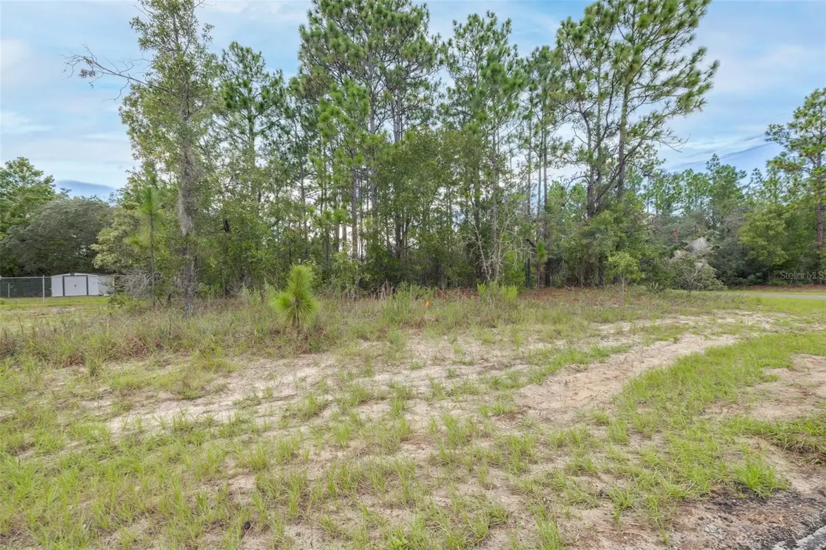 7662 N Galt Point, Citrus Springs, FL 34434 - #1