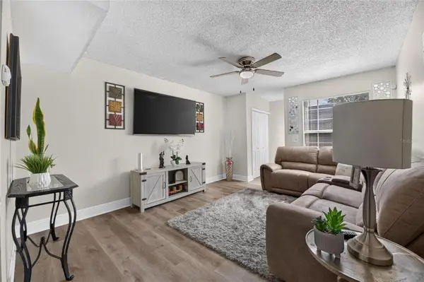 7321 Jackson Springs Road, TAMPA, FL 33634