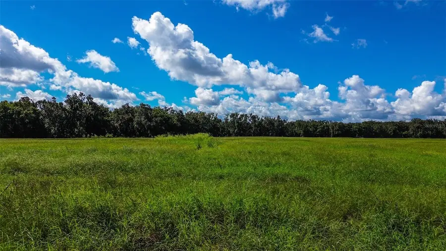 00 Miller Road, Dade City, FL 33525 - #2