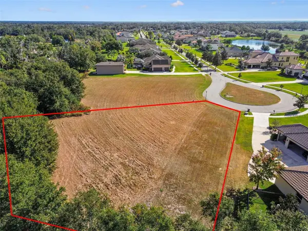 420 Hawk Talon Drive, LITHIA, FL 33547