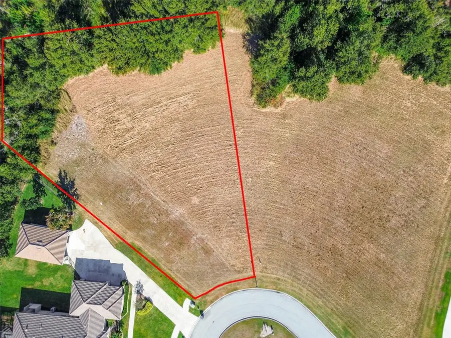 420 Hawk Talon Drive, Lithia, FL 33547 - #2