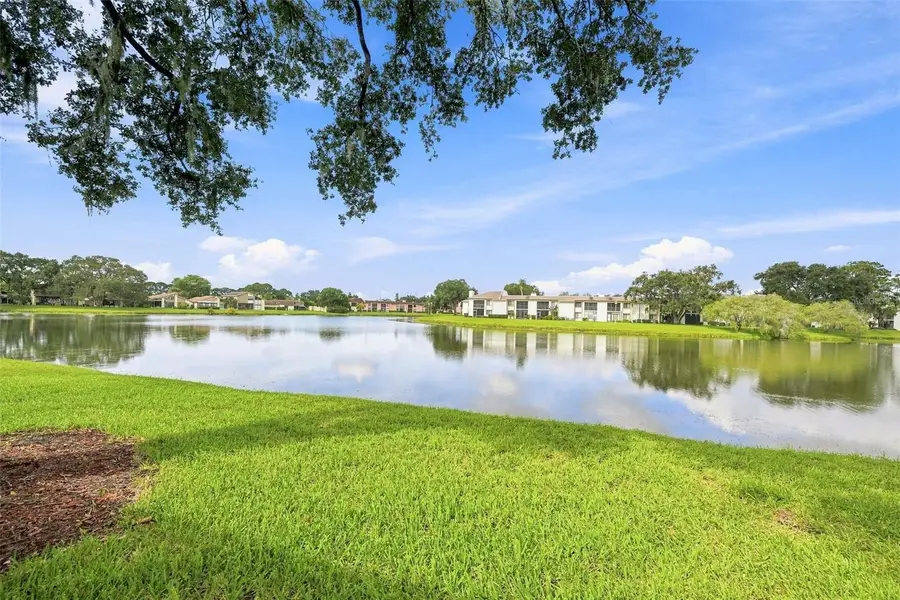 221 Nina Way #61, Oldsmar, FL 34677 - #2