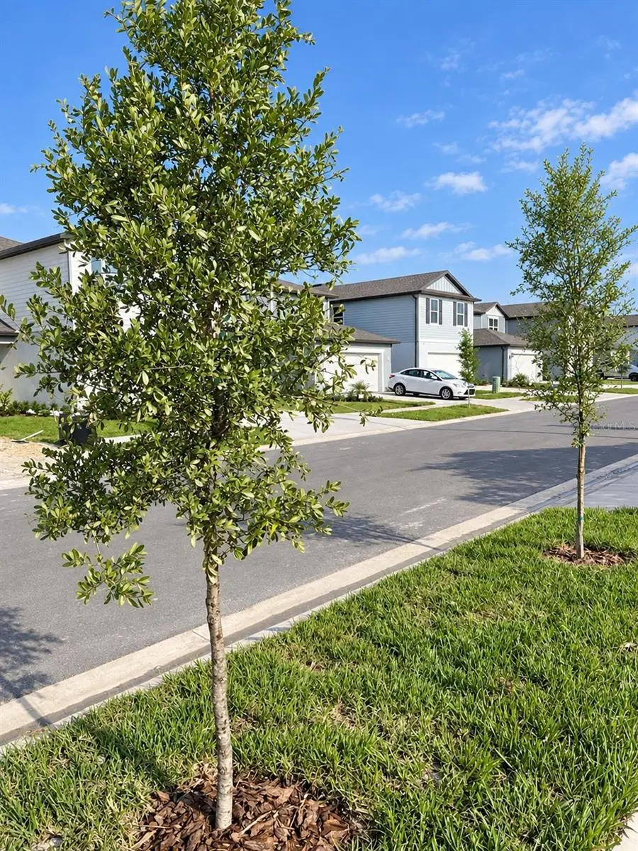 9469 Rally Spring Loop, Wesley Chapel, FL 33545 - #3