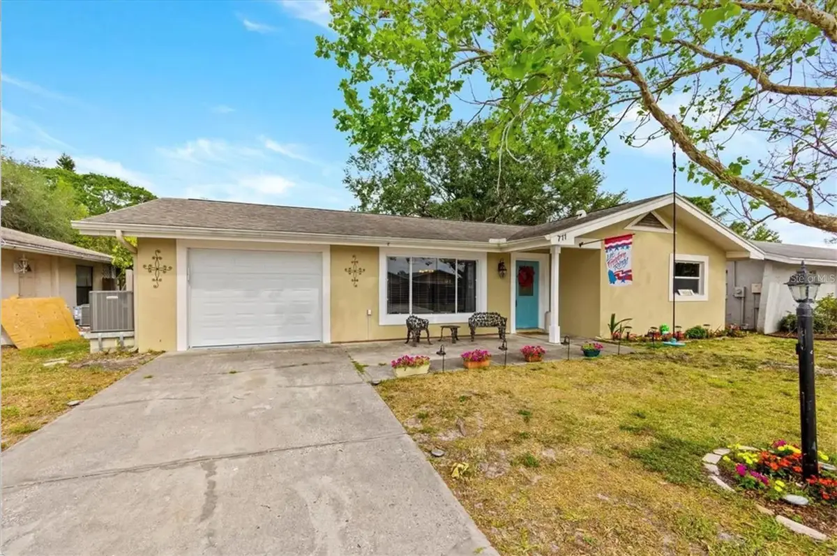 711 Lemonwood Drive, Oldsmar, FL 34677 - #1