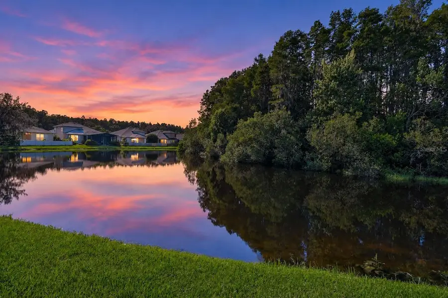 3240 Downan Point Drive, Land O Lakes, FL 34638 - #2