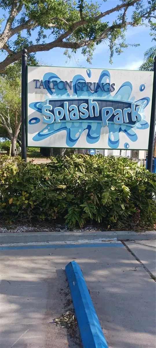 229 Dixie, Tarpon Springs, FL 34689 - #2