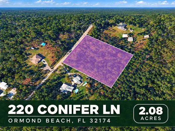 220 Conifer Lane, ORMOND BEACH, FL 32174