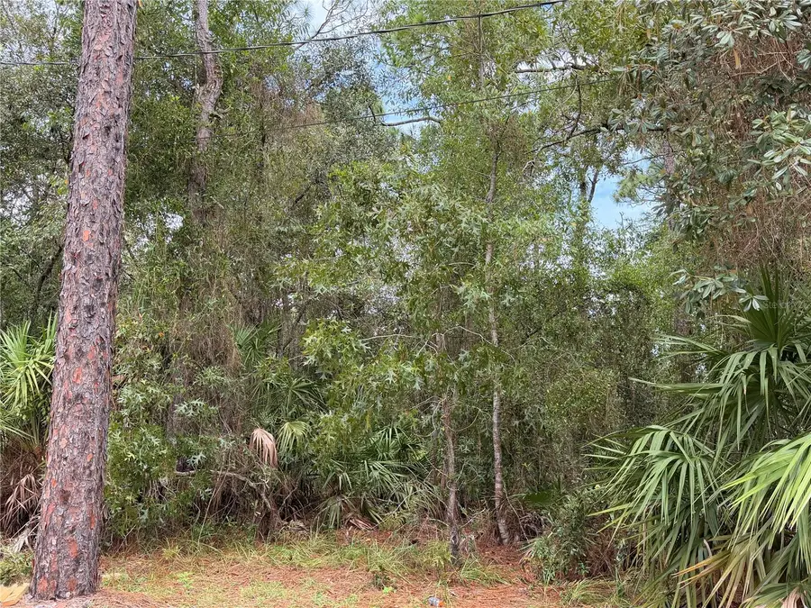 5710 S Leopard Point, Homosassa, FL 34446 - #3