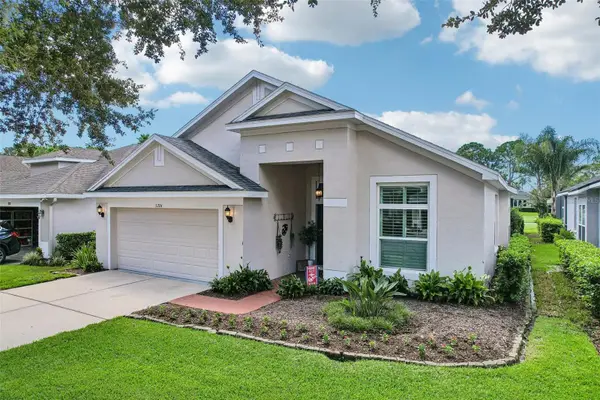3224 Stonebridge Trail, VALRICO, FL 33596