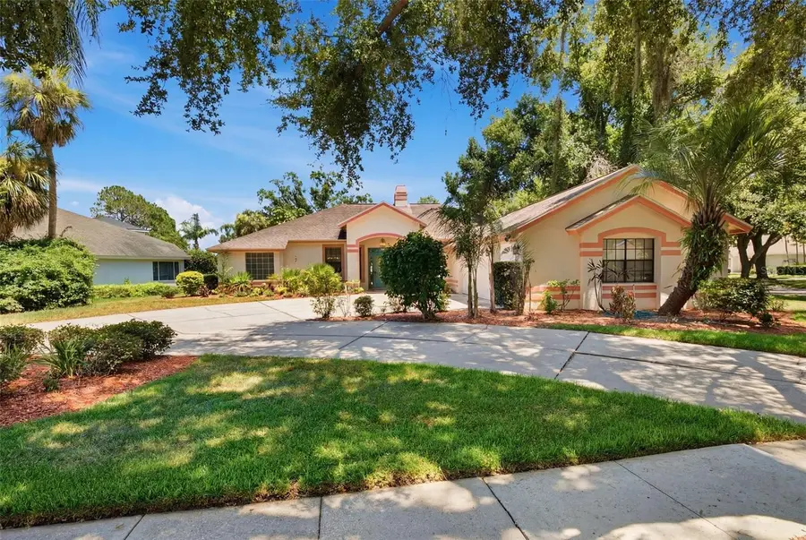 16501 Blenheim Drive, Lutz, FL 33549 - #3