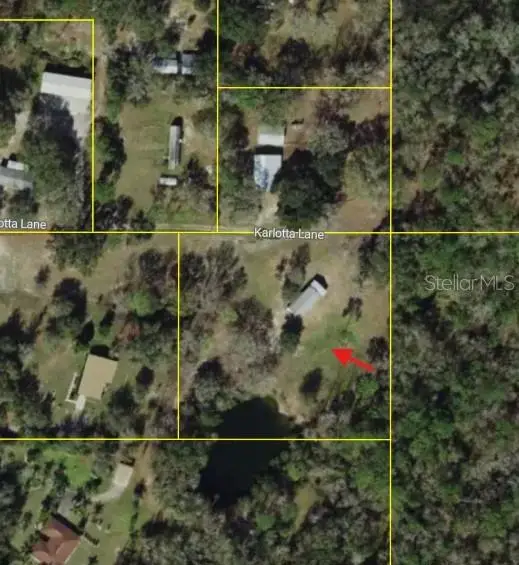 Karlotta Lane, Land O Lakes, FL 34639 - #2