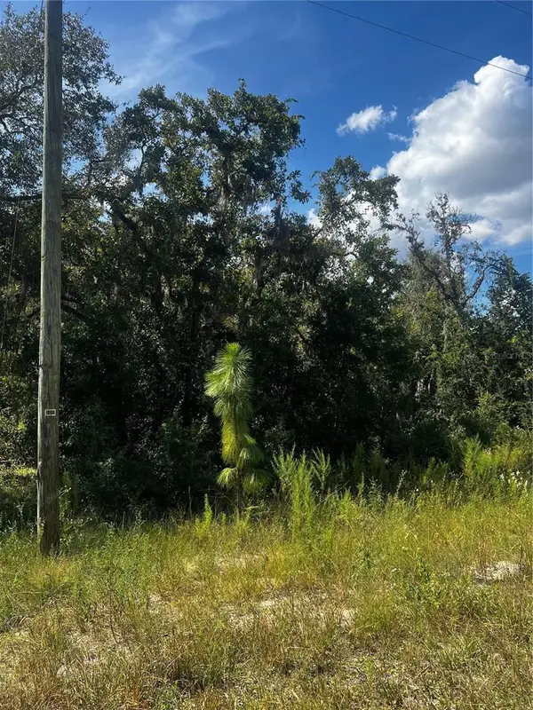 0 Crider Road, WEEKI WACHEE, FL 34614