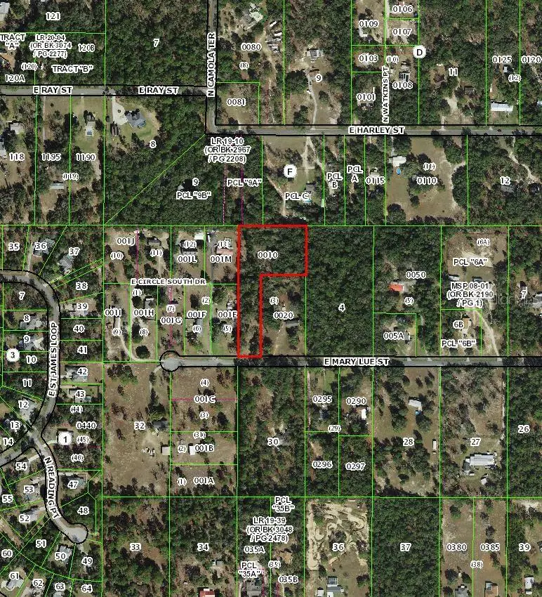 2047 E Mary Lue Street, Inverness, FL 34453 - #2
