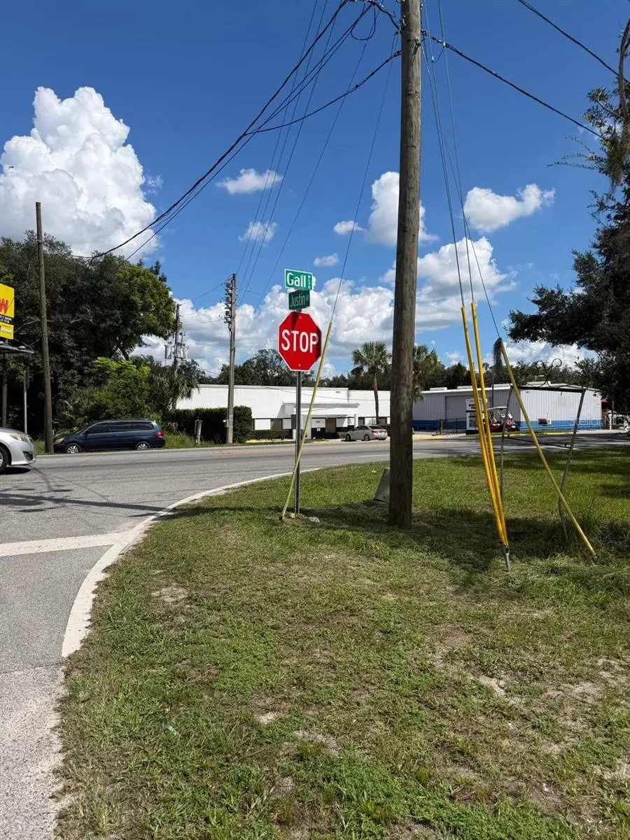 38438 Justin Avenue, Zephyrhills, FL 33542 - #2