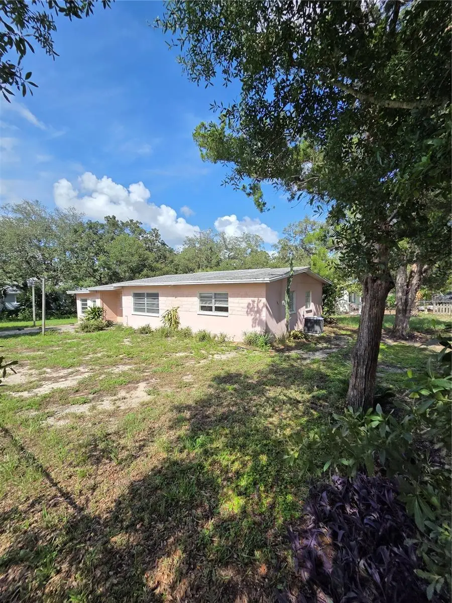 350 N Levis Avenue, Tarpon Springs, FL 34689 - #1