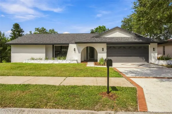 3104 Blue Heron Street, SAFETY HARBOR, FL 34695