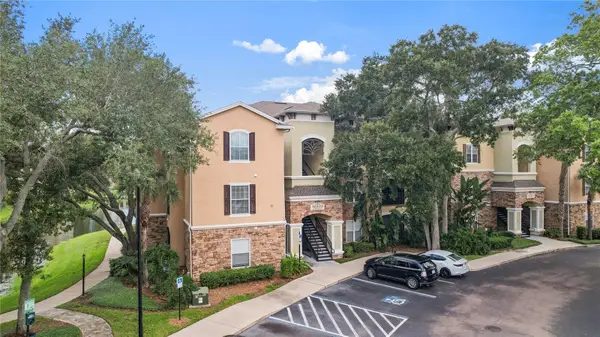 10105 Courtney Oaks Circle #203, TAMPA, FL 33619