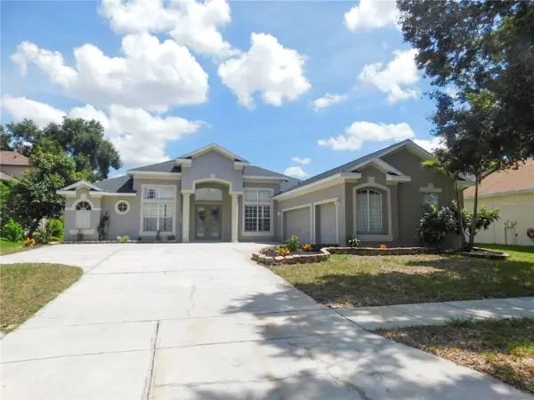 2412 Blue Stone Court, VALRICO, FL 33594