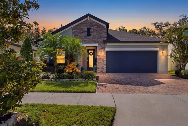 10443 Alcon Blue Drive, RIVERVIEW, FL 33578