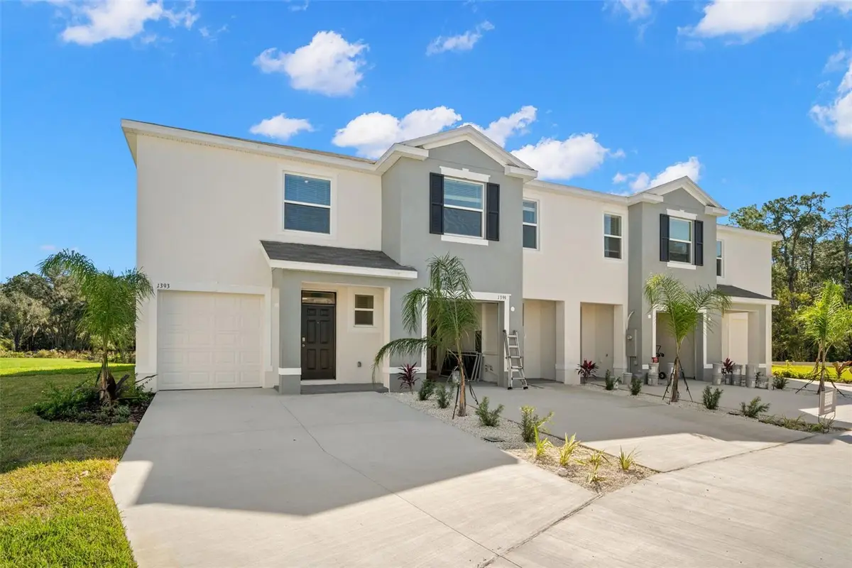 1393 Colt Creek Place, Wesley Chapel, FL 33543 - #1