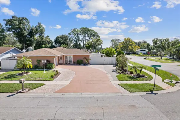 14501 Highland Hills Place, TAMPA, FL 33625