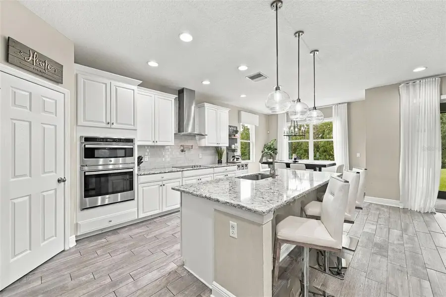 31584 Colada Drift Way, Wesley Chapel, FL 33545 - #2