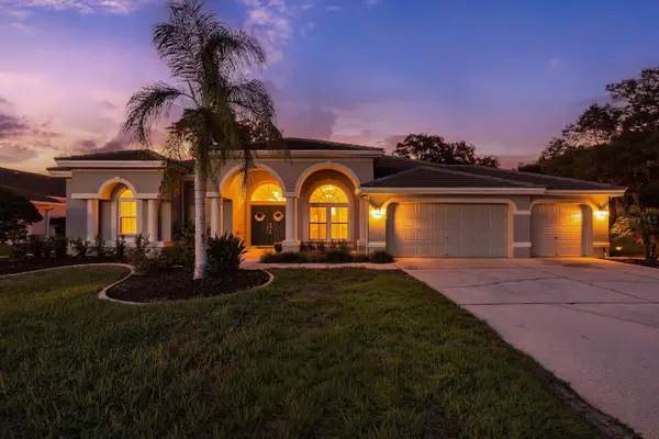 1003 Kings Way Lane, TARPON SPRINGS, FL 34688