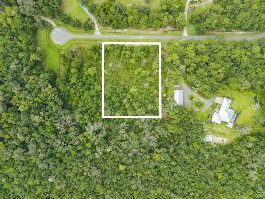 12563 SW 17th Drive, Micanopy, FL 32667 - #2