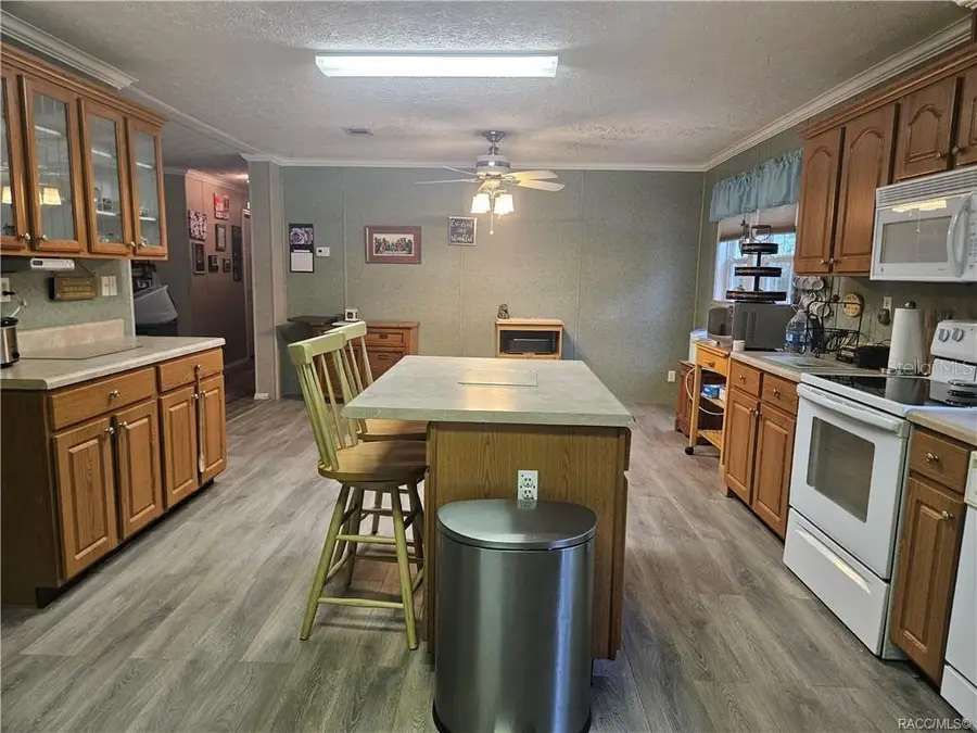2905 N Turkey Oak Drive, Crystal River, FL 34428 - #3