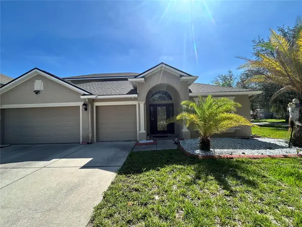 13710 Snowden Hall Place, RIVERVIEW, FL 33579